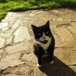 Doner Kebap Autentico